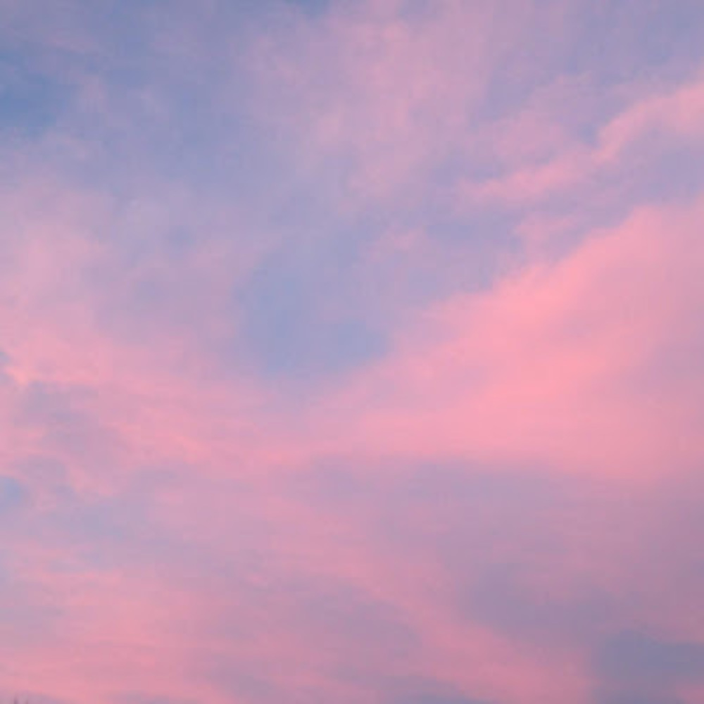 Meet your Posher, Brendan